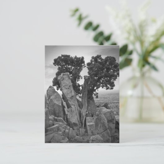 Splitsen Briefkaart (Staand voorkant)