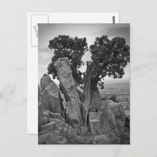 Splitsen Briefkaart (Voorkant / Achterkant)