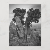 Splitsen Briefkaart (Voorkant)