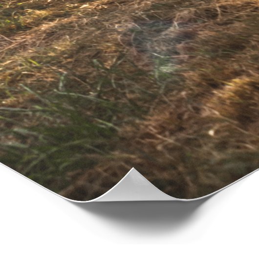 Splitsen van spooromheining bij Gettysburg Poster (Hoek)