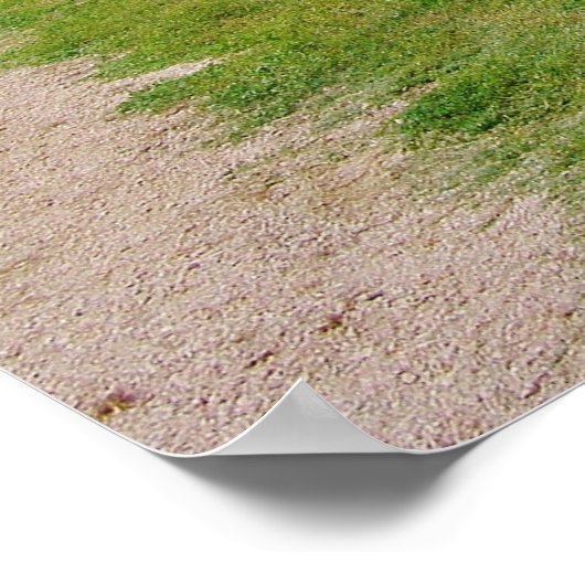 Splitsen van spoorstaafkop poster (Hoek)