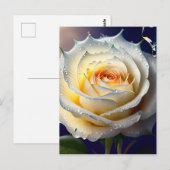 Splitsen Water op een witte Rose Briefkaart (Voorkant / Achterkant)