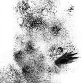 Splotches Hout Art Stamp Rubberstempel