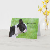Spoedig Beterschap Boston Terrier wenskaart Kaart (Gele Bloem)