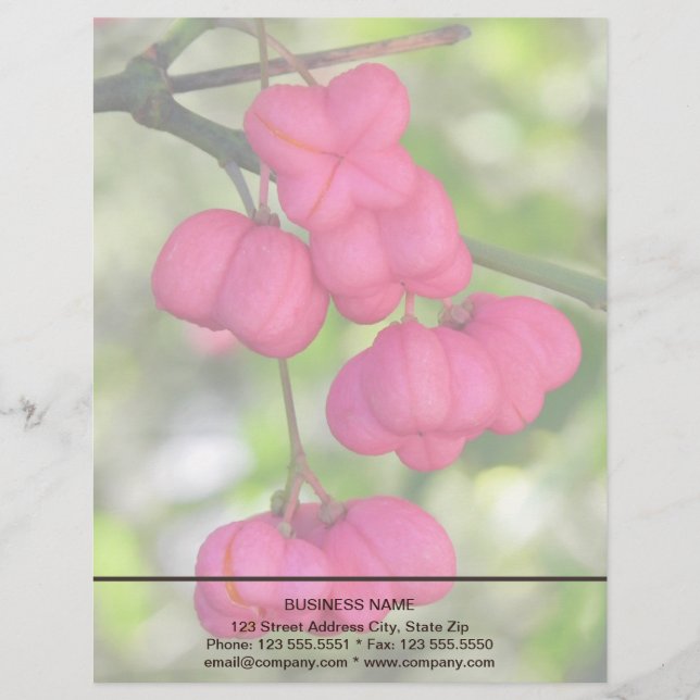 Spoelbessen roze briefhoofd (Voorkant)