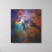 Spoelbuis (zichtbaar licht Uitzicht) Canvas Afdruk (Voorkant)