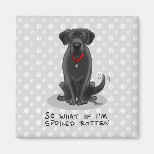 Spoiled Rotten Black Lab Labrador Retriever Dog Magneet