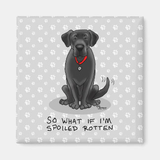 Spoiled Rotten Black Lab Labrador Retriever Dog Magneet