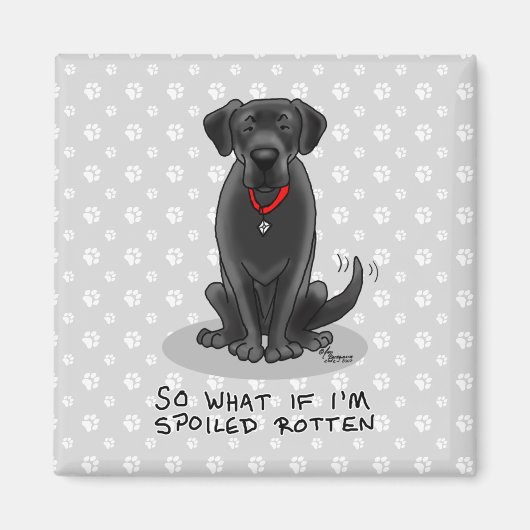 Spoiled Rotten Black Lab Labrador Retriever Dog Magneet (Voorkant)