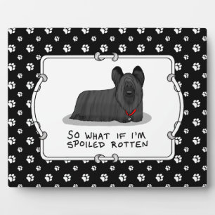 Spoiled Rotten Skye Terrier Dog (zwart) Cute Funny Fotoplaat