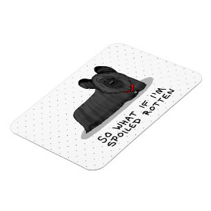 Spoiled Rotten Skye Terrier Dog (zwart) Cute Funny Magneet