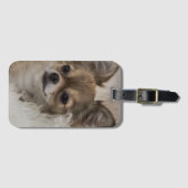 Spoilt Chihuahua Relaxing Bagagelabel (Voorkant (horizontaal))