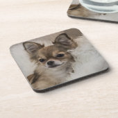 Spoilt Chihuahua Relaxing Bier Onderzetter (Linkerzijde)