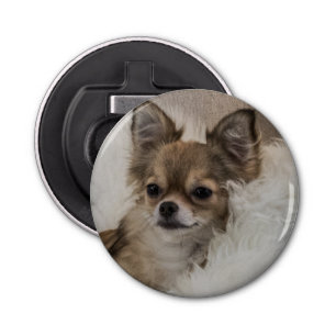 Spoilt Chihuahua Relaxing Button Flesopener