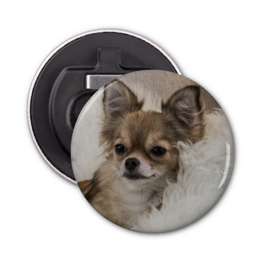 Spoilt Chihuahua Relaxing Button Flesopener (Voorkant)