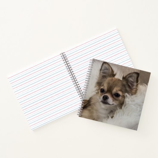 Spoilt Chihuahua Relaxing Notitieboek (Binnen)