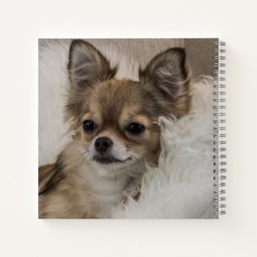 Spoilt Chihuahua Relaxing Notitieboek (Achterkant)