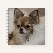 Spoilt Chihuahua Relaxing Notitieboek (Voorkant)