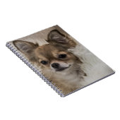 Spoilt Chihuahua Relaxing Notitieboek (Rechterzijde)