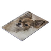 Spoilt Chihuahua Relaxing Notitieboek (Linkerzijde)