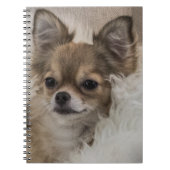Spoilt Chihuahua Relaxing Notitieboek (Voorkant)