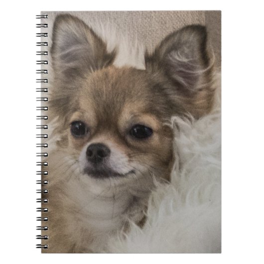 Spoilt Chihuahua Relaxing Notitieboek (Voorkant)