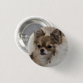 Spoilt Chihuahua Relaxing Ronde Button 3,2 Cm (Voorkant /achterkant)