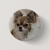 Spoilt Chihuahua Relaxing Ronde Button 3,2 Cm (Voorkant)