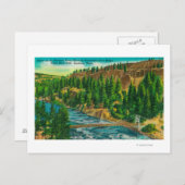 Spokane River en Suspension Foot Bridge Briefkaart (Voorkant / Achterkant)
