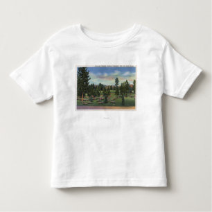Spokane, Washington - Upper Terrace Kinder Shirts