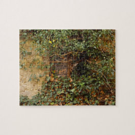 Spoken raam  legpuzzel