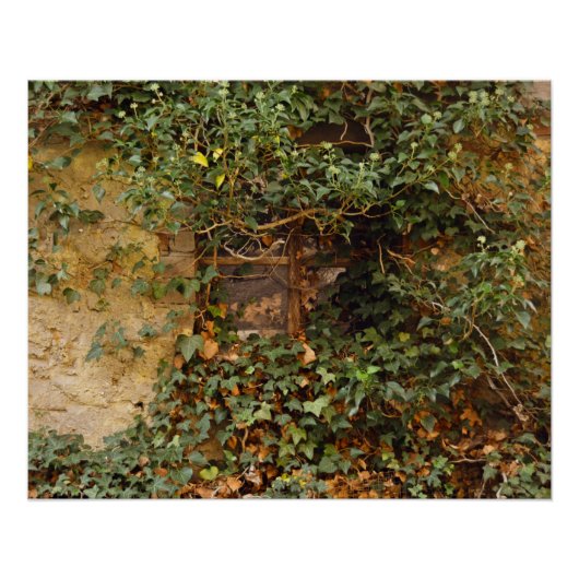 Spoken raam    perfect poster (Voorkant)