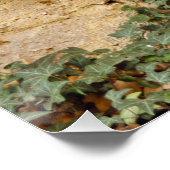 Spoken raam    perfect poster (Hoek)