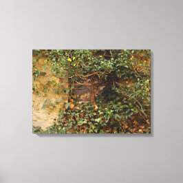 Spokenster raam    canvas afdruk