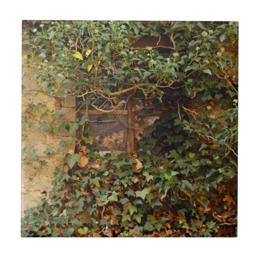 Spokenster raam   tegeltje (Voorkant)