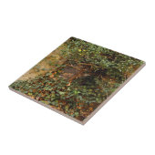 Spokenster raam   tegeltje (Zijkant)