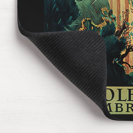 Spoletto ~ Umbria Muismat (Hoek)