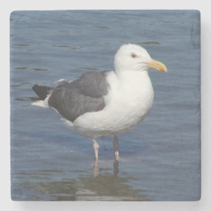 Sponky Wading Seagull Marble Onderzetter