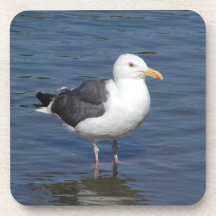 Sponky Wading Seagull Onderzetter