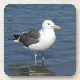 Sponky Wading Seagull Onderzetter