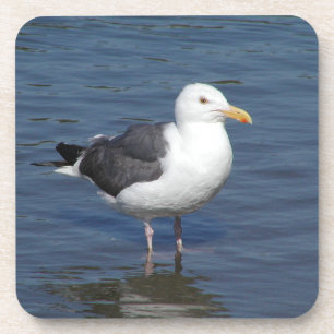 Sponky Wading Seagull Onderzetter
