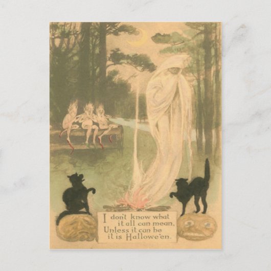 Spook Jack O Lantern Zwarte Kat Elfen Briefkaart (Voorkant)