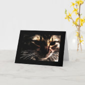 Spook Kat met Grens Kaart (Gele Bloem)