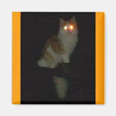 spookachtig kat magneet (Voorkant)