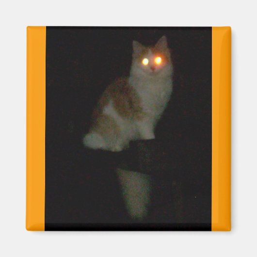 spookachtig kat magneet (Voorkant)