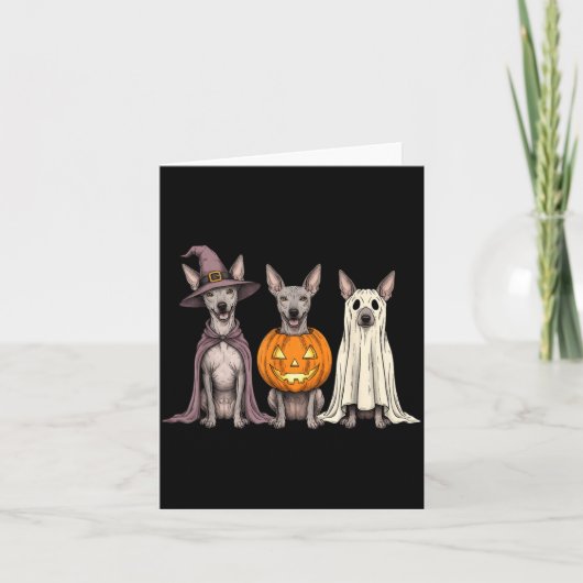 Spookachtige Geest Xoloitzcuintli Pompoen Hallowee Kaart (Voorkant)