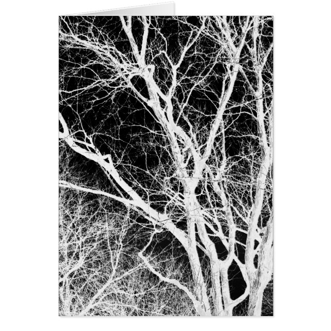 spookboom (Voorkant)