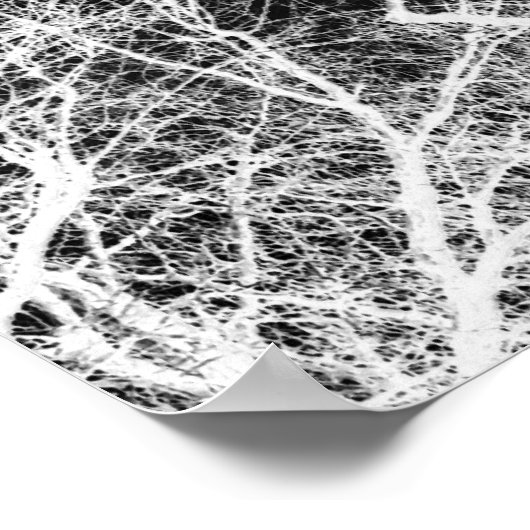 spookboom poster (Hoek)