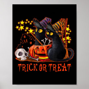 Spookkatten Pompoen Spoken Zwarte Kat Moeder Hallo Poster