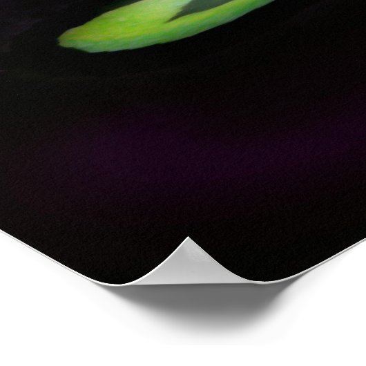 Spookmaanposter Poster (Hoek)